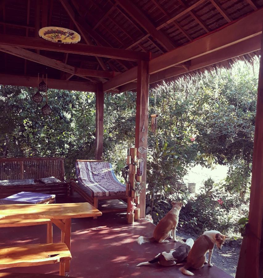 Lazy Lizard Hostel Siquijor Exteriér fotografie