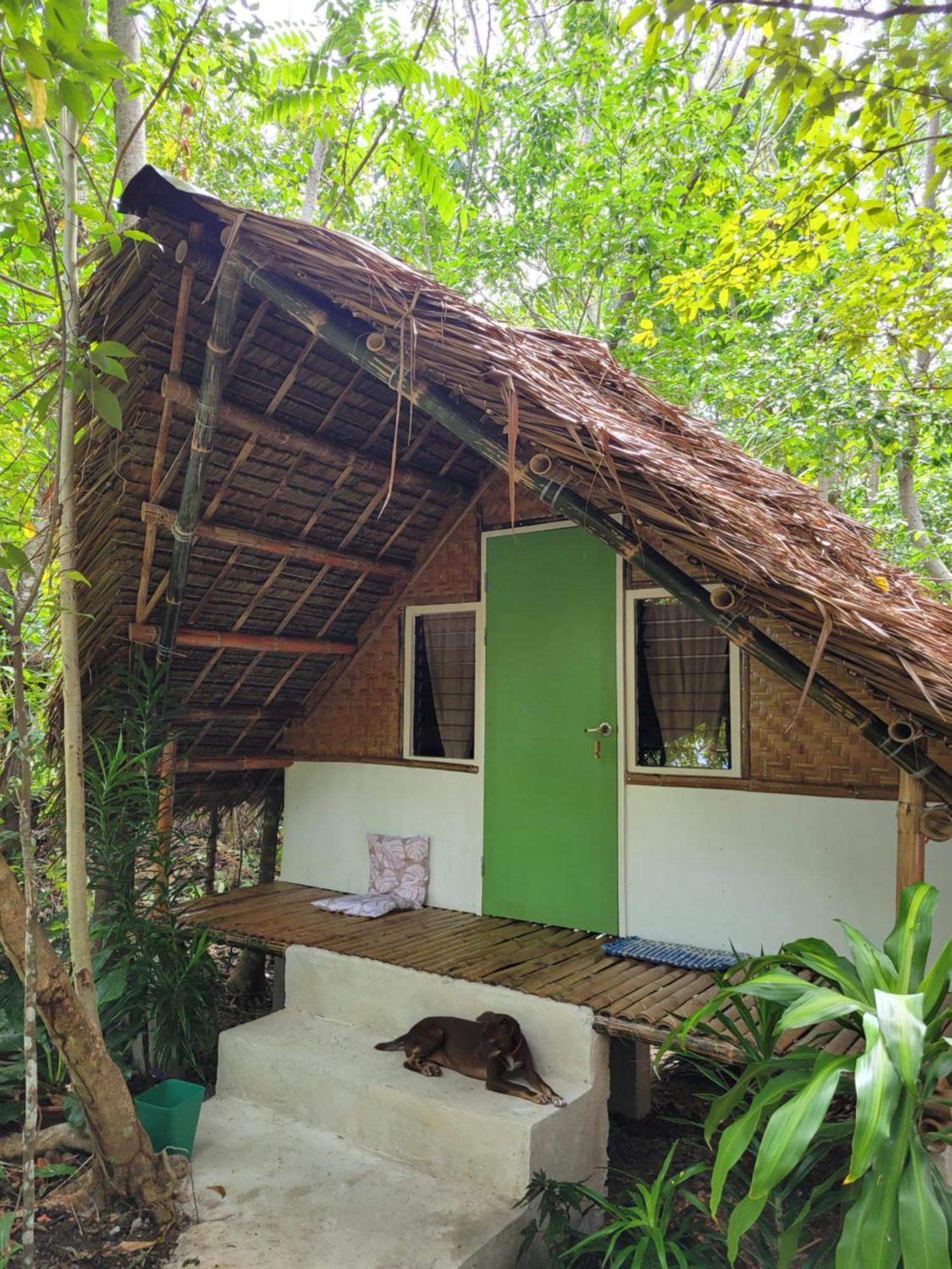 Lazy Lizard Hostel Siquijor Pokoj fotografie